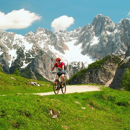 Apartma Gaja Kranjska Gora Buitenkant foto
