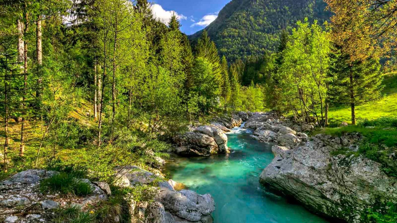 Apartma Gaja Kranjska Gora Buitenkant foto